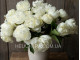 Duchesse De Nemour